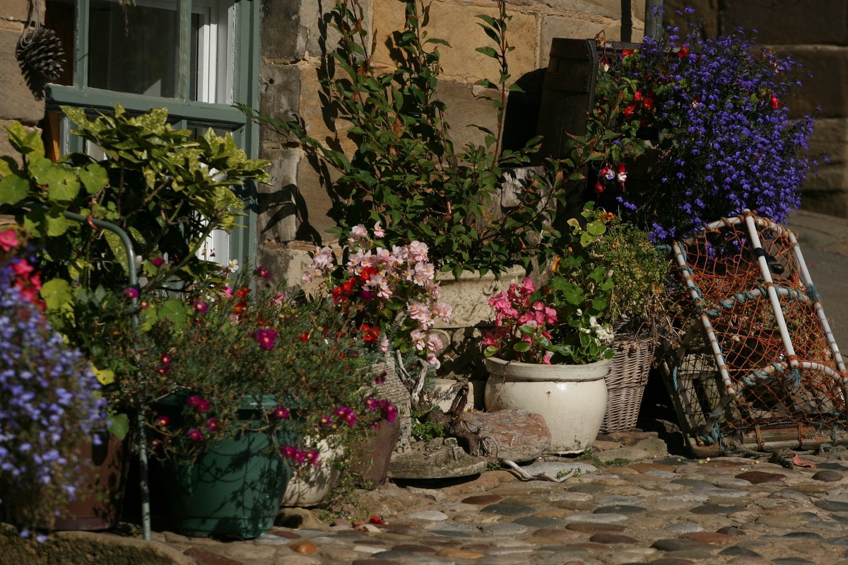 Robin Hood's Bay 3